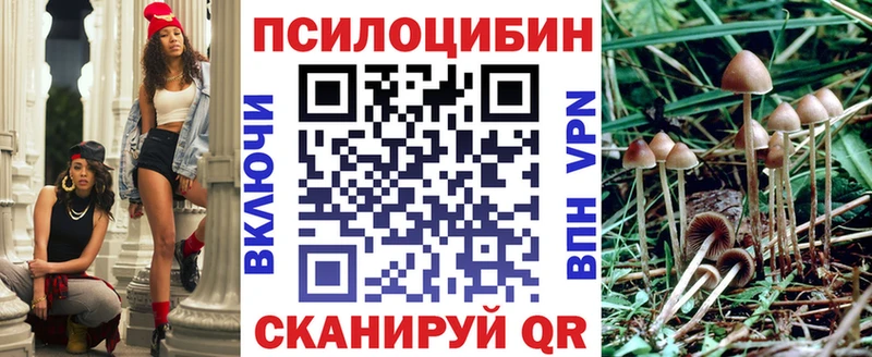 Купить закладки  Апатиты  Псилоцибиновые грибы Magic Shrooms 